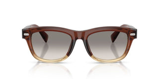 Brunello Cucinelli BC 3016S men Brown Pantos Sunglasses