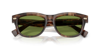 Brunello Cucinelli BC 3016S men Havana Pantos Sunglasses