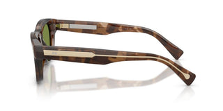 Brunello Cucinelli BC 3016S men Havana Pantos Sunglasses