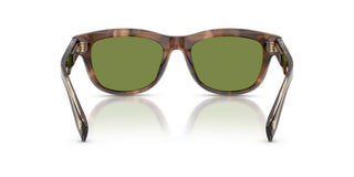 Brunello Cucinelli BC 3016S men Havana Pantos Sunglasses