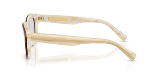 Brunello Cucinelli Bc 3017 Unisex Havana Squared Eyeglasses