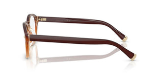 Brunello Cucinelli BC 4006 unisex Brown Pantos Eyeglasses