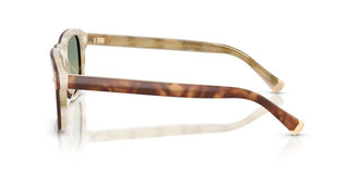 Brunello Cucinelli Bc 4014s Men Havana Squared Sunglasses