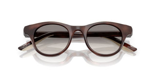 Brunello Cucinelli BC 4016S women Brown Pantos Sunglasses