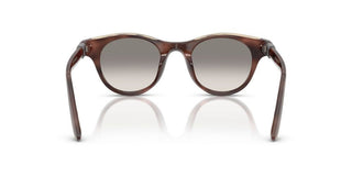 Brunello Cucinelli BC 4016S women Brown Pantos Sunglasses