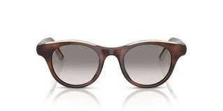 Brunello Cucinelli BC 4016S women Brown Pantos Sunglasses