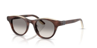 Brunello Cucinelli BC 4016S women Brown Pantos Sunglasses