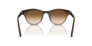 Brunello Cucinelli BC 4016S women Brown Pantos Sunglasses