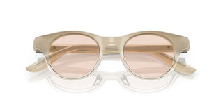 Brunello Cucinelli Bc 4016s Women Brown Pantos Sunglasses