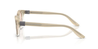 Brunello Cucinelli Bc 4016s Women Brown Pantos Sunglasses