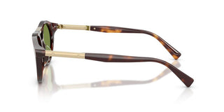 Brunello Cucinelli Bc 4020s Unisex Havana Round Sunglasses