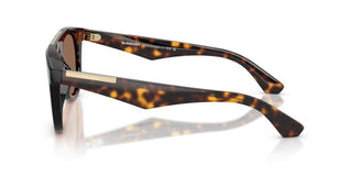 Burberry BE 4452U men Havana Pilot Sunglasses