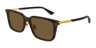 Bottega Veneta BV1374SK men Havana Squared Sunglasses