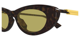 Bottega Veneta BV1447S women Havana Cat Eye Sunglasses