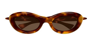 Bottega Veneta BV1484S women Havana Cat Eye Sunglasses
