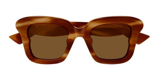 Bottega Veneta BV1493S women Havana Butterfly Sunglasses