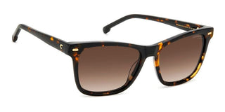 Carrera CARRERA 3001/S women Havana Squared Sunglasses