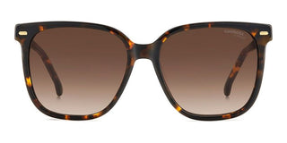 Carrera Carrera 3002/s Women Havana Squared Sunglasses