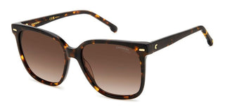 Carrera Carrera 3002/s Women Havana Squared Sunglasses