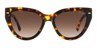 Carrera Carrera 3017/s Women Havana Geometric Sunglasses