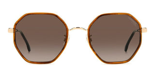 Carrera Carrera 3029/s Women Brown Geometric Sunglasses