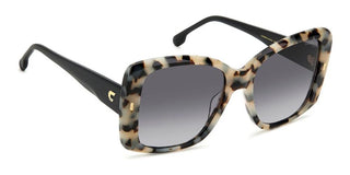 Carrera Carrera 3030/s Women Havana Squared Sunglasses