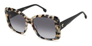 Carrera Carrera 3030/s Women Havana Squared Sunglasses