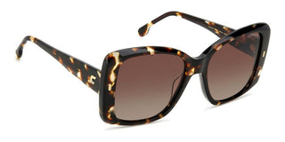Carrera Carrera 3030/s Women Havana Squared Sunglasses