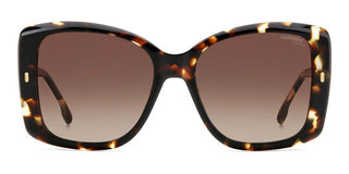 Carrera Carrera 3030/s Women Havana Squared Sunglasses