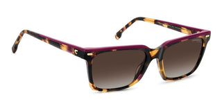 Carrera Carrera 3056/s Women Havana Rectangle Sunglasses