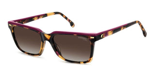 Carrera Carrera 3056/s Women Havana Rectangle Sunglasses