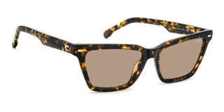 Carrera Carrera 3083/s Women Havana Cat Eye Sunglasses