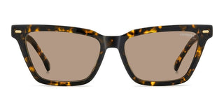 Carrera Carrera 3083/s Women Havana Cat Eye Sunglasses