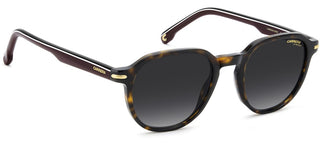 Carrera Carrera 376/s Men Havana Squared Sunglasses