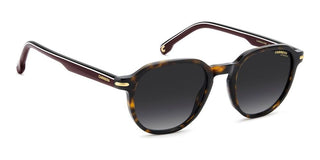 Carrera Carrera 376/s Men Havana Squared Sunglasses