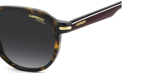 Carrera Carrera 376/s Men Havana Squared Sunglasses
