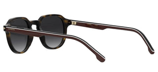 Carrera Carrera 376/s Men Havana Squared Sunglasses