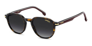 Carrera Carrera 376/s Men Havana Squared Sunglasses