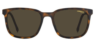 Carrera 8046/S men Havana Squared Sunglasses
