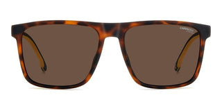 Carrera CARRERA 8064/S men Havana Squared Sunglasses