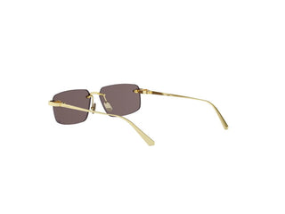 Dior Cdior Cdior S4u Women Gold Rectangle Sunglasses