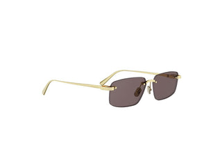 Dior Cdior Cdior S4u Women Gold Rectangle Sunglasses