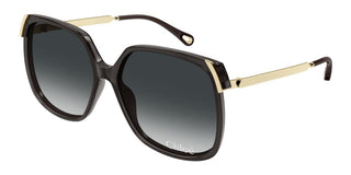 Chloé Ch0286s Women Grey Squared Sunglasses