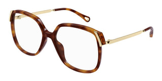 Chloé Ch0287o Women Havana Squared Eyeglasses