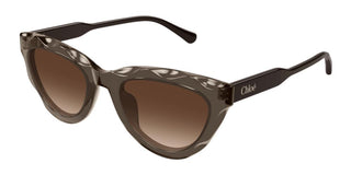 Chloé CH0294S women Brown Cat Eye Sunglasses