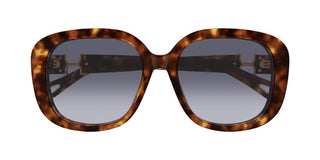 Chloé CH0303SK women Havana Squared Sunglasses