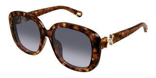 Chloé CH0303SK women Havana Squared Sunglasses