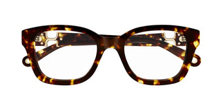 Chloé CH0305O women Havana Squared Eyeglasses