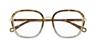 Chloé CH0309O women Havana Squared Eyeglasses