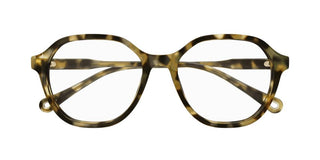 Chloé CH0315OA women Havana Squared Eyeglasses